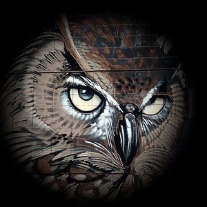 Meet your Posher, Ivana